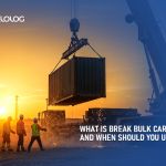 What Is Break Bulk Cargo and When Should You Use It?